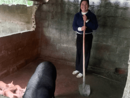 Kinh tế - Chính trị