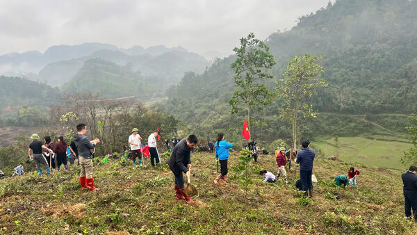 Xã Tri Lễ tổ chức Lễ phát động "Tết trồng cây đời đời nhớ ơn Bác Hồ" xuân Bính Ngọ năm 2026 tại thôn Lũng Phúc