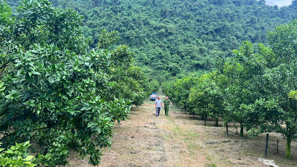 Lãnh đạo Đảng ủy, HĐND, UBND, Ủy ban MTTQ Việt Nam xã Tri Lễ tổ chức thăm các mô hình phát triển kinh tế trên địa bàn xã